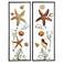 Montauk 29 1/4" High 2-Piece Metal Framed Wall Art Set