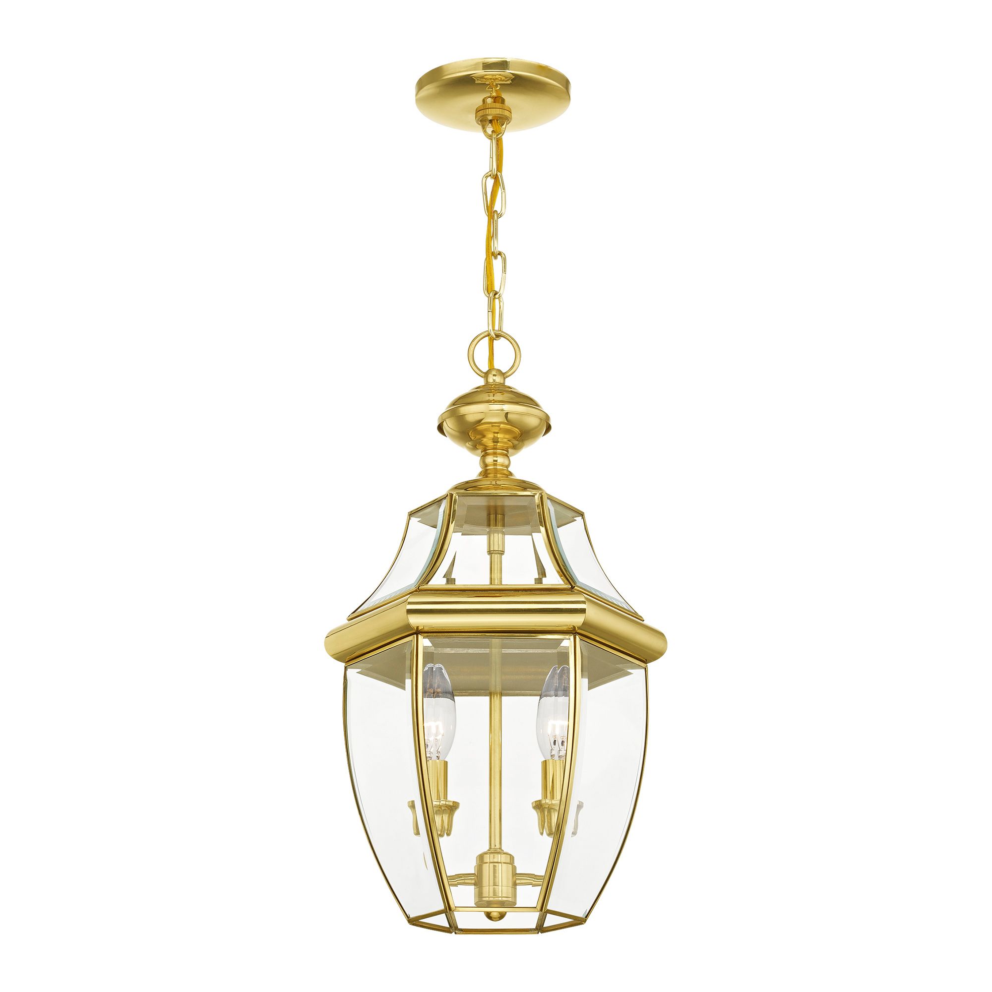 Monterey 19"H Polished Brass 2-Light Outdoor Hanging Light in scene