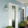 4_Monterey 20.25-in H Verdigris Candelabra Base (E-12) Outdoor Wall Light more views