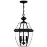 3_Monterey 21" High Black 3-Light Outdoor Hanging Light