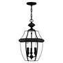 5_Monterey 21" High Black 3-Light Outdoor Hanging Light more views