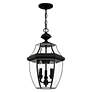 6_Monterey 21" High Black 3-Light Outdoor Hanging Light more views