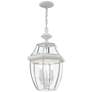 1_Monterey 21" High White Lantern Outdoor Hanging Light