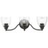 Montgomery 3 Light Black Vanity Sconce