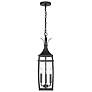 4_Montpelier 25"H Matte Black 3-Light Outdoor Hanging Light more views