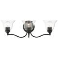 Livex Lighting Moreland Black Collection