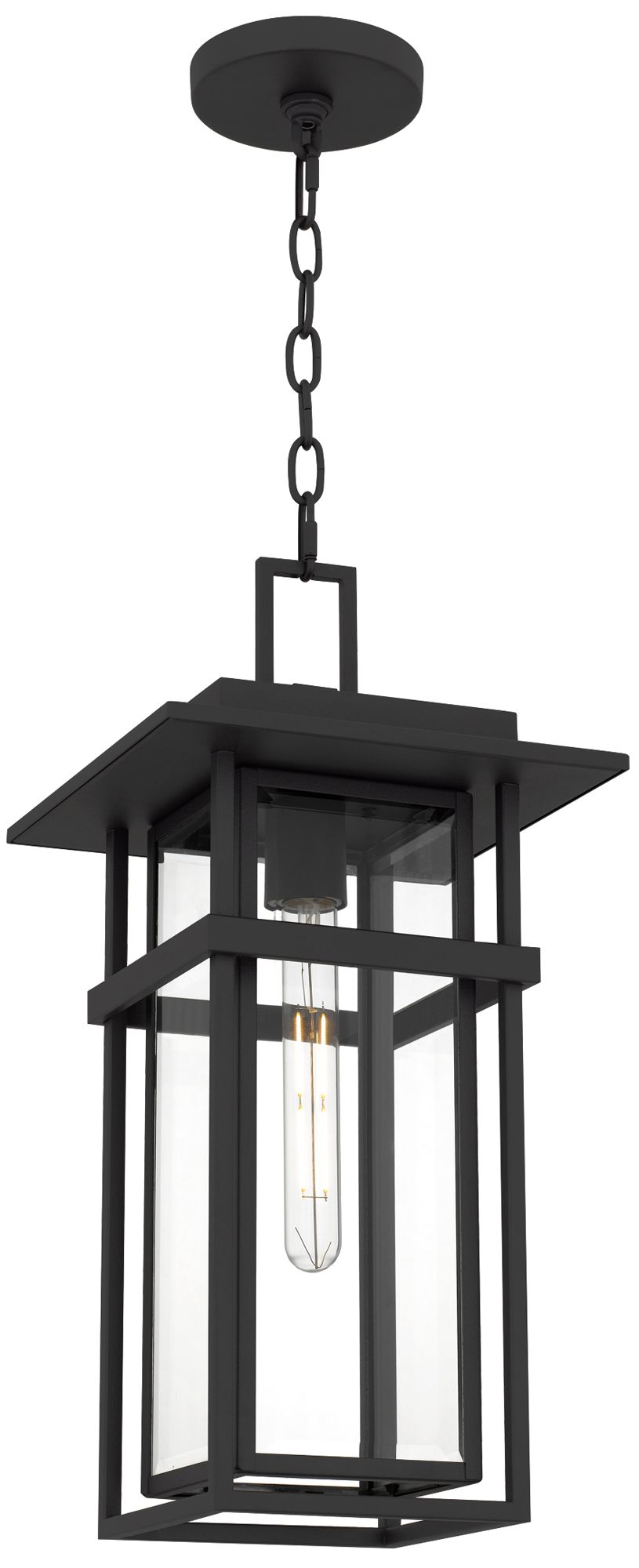 Morgan 1-Light Earth Black Outdoor Hanging Lantern