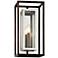 Morgan 15"H Bronze and Polished Stainless Outdoor Wall Light