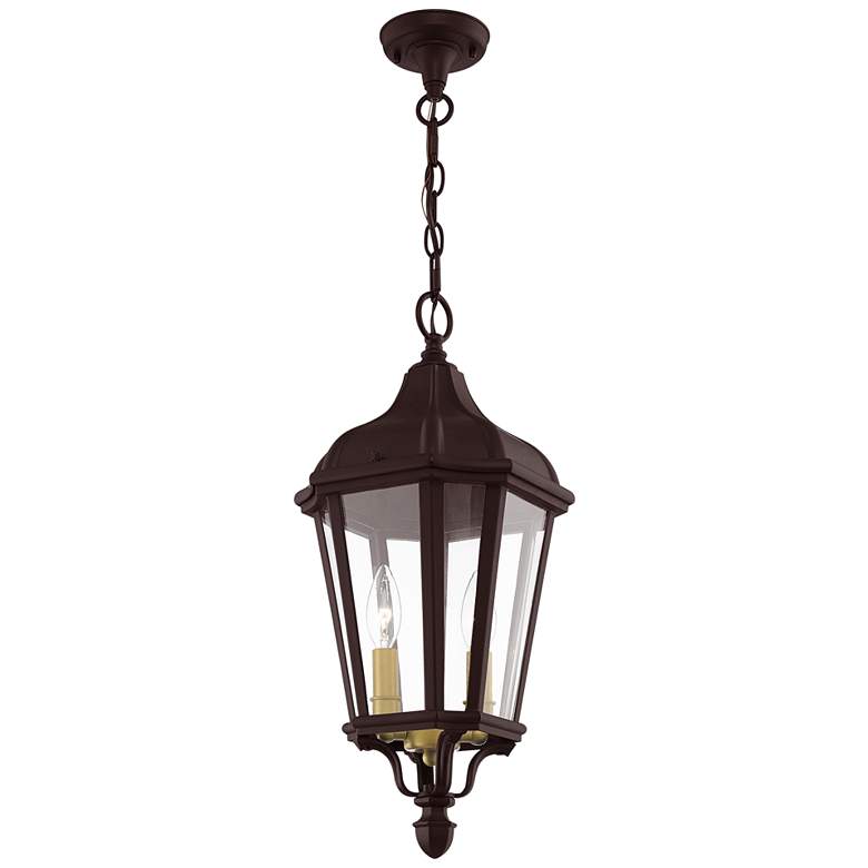 Image 1 Morgan 20 1/2 inch High Bronze Outdoor Hanging Light