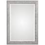 Mossley Metallic Silver 30" x 42" Framed Wall Mirror