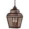 Mossoro 22" High Outdoor/Indoor Hanging Light