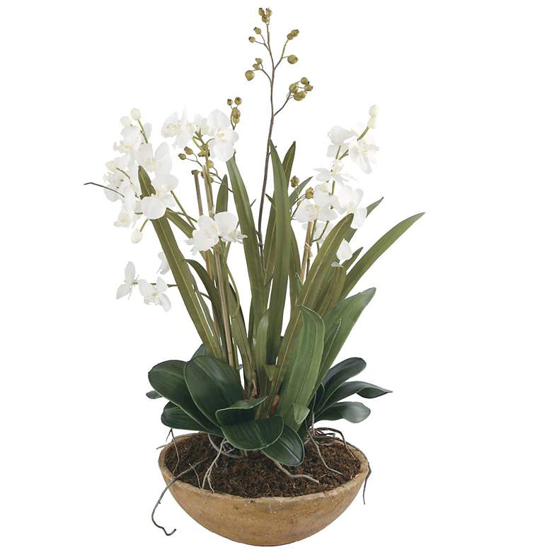 Image 2 Moth Orchid Planter Floral Arrangement