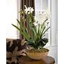 1_Moth Orchid Planter Floral Arrangement