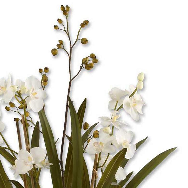 Image 3 Moth Orchid Planter Floral Arrangement more views