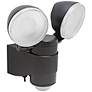 Motion Activated Black 6" High 2-Light LED Security Light