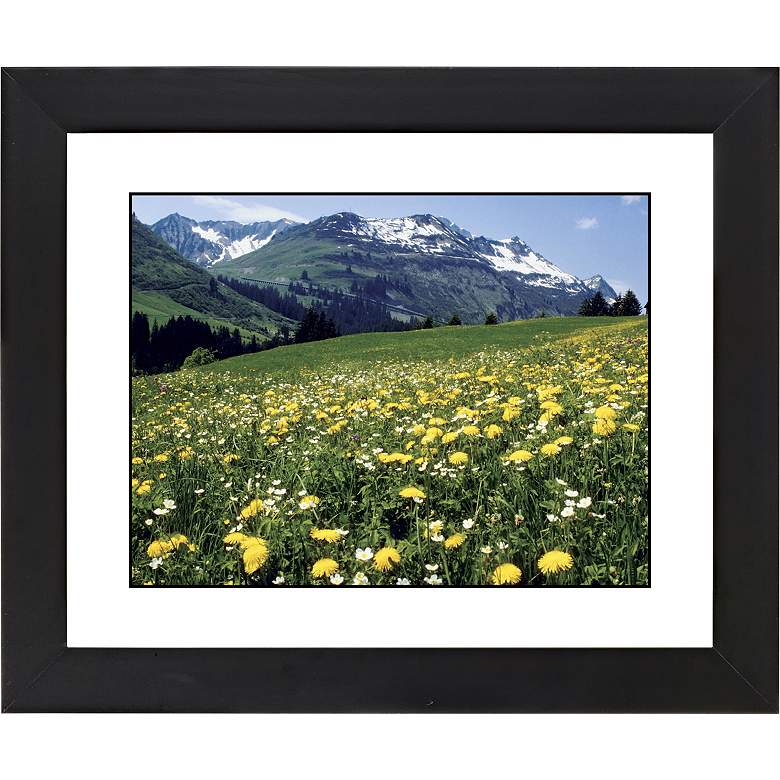 Image 1 Mountain Flower Meadow Black Frame 23 1/4 inch Wide Wall Art
