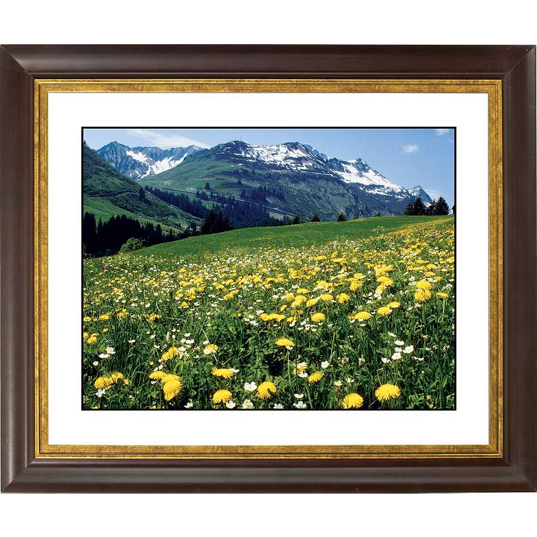 Image 1 Mountain Flower Meadow Gold Bronze Frame 20 inch Wide Wall Art