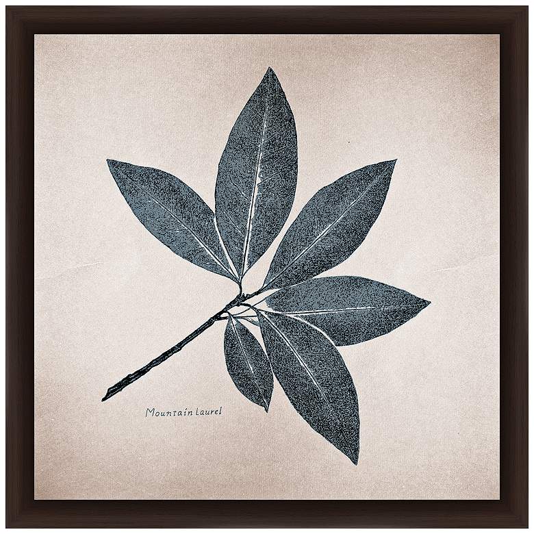 Image 1 Mountain Laurel 14 inch Square Framed Giclee Wall Art