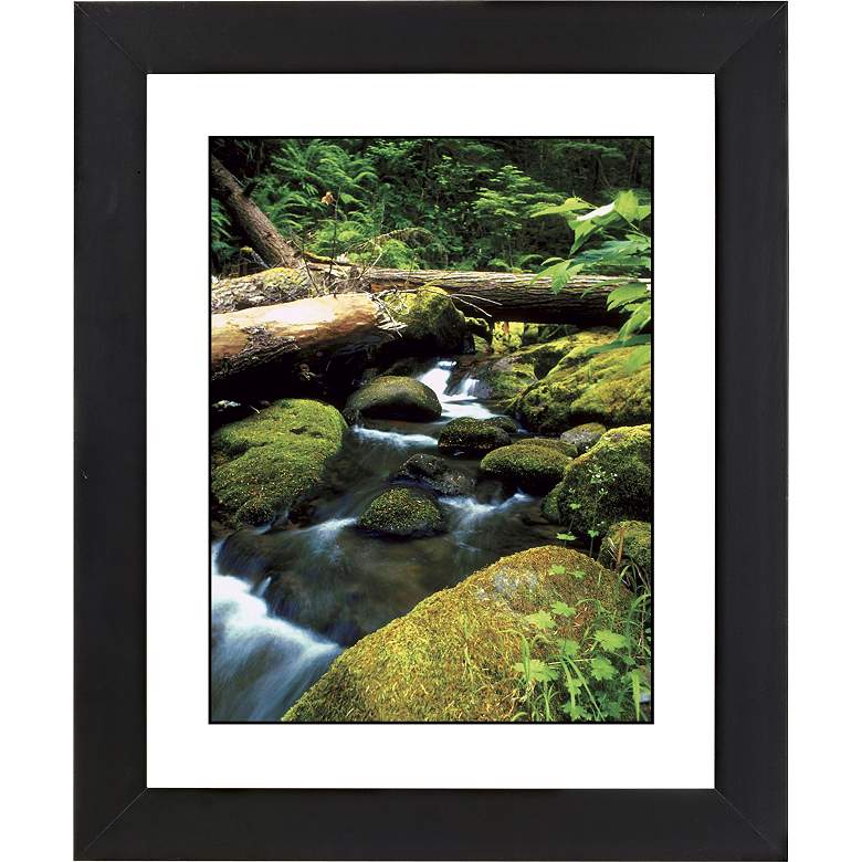 Image 1 Mountain Spring Black Frame Giclee 23 1/4 inch High Wall Art