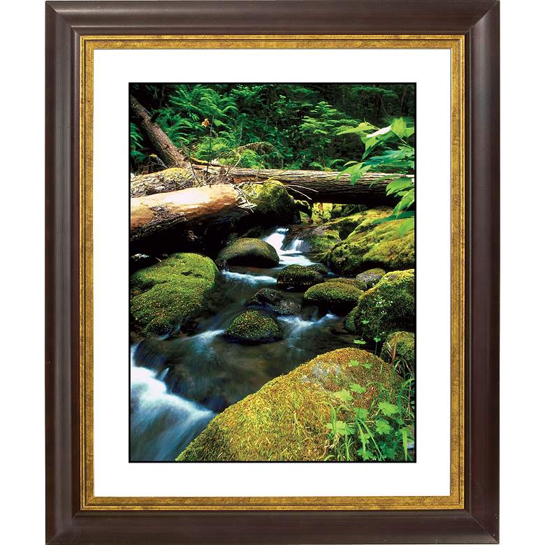 Image 1 Mountain Spring Gold Bronze Frame Giclee 20 inch High Wall Art
