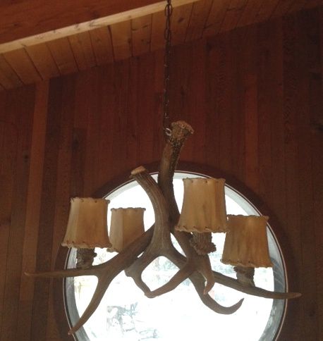 Image 3 Mule Deer 22-24" Wide 4-Light Real Antler Pendant Light more views