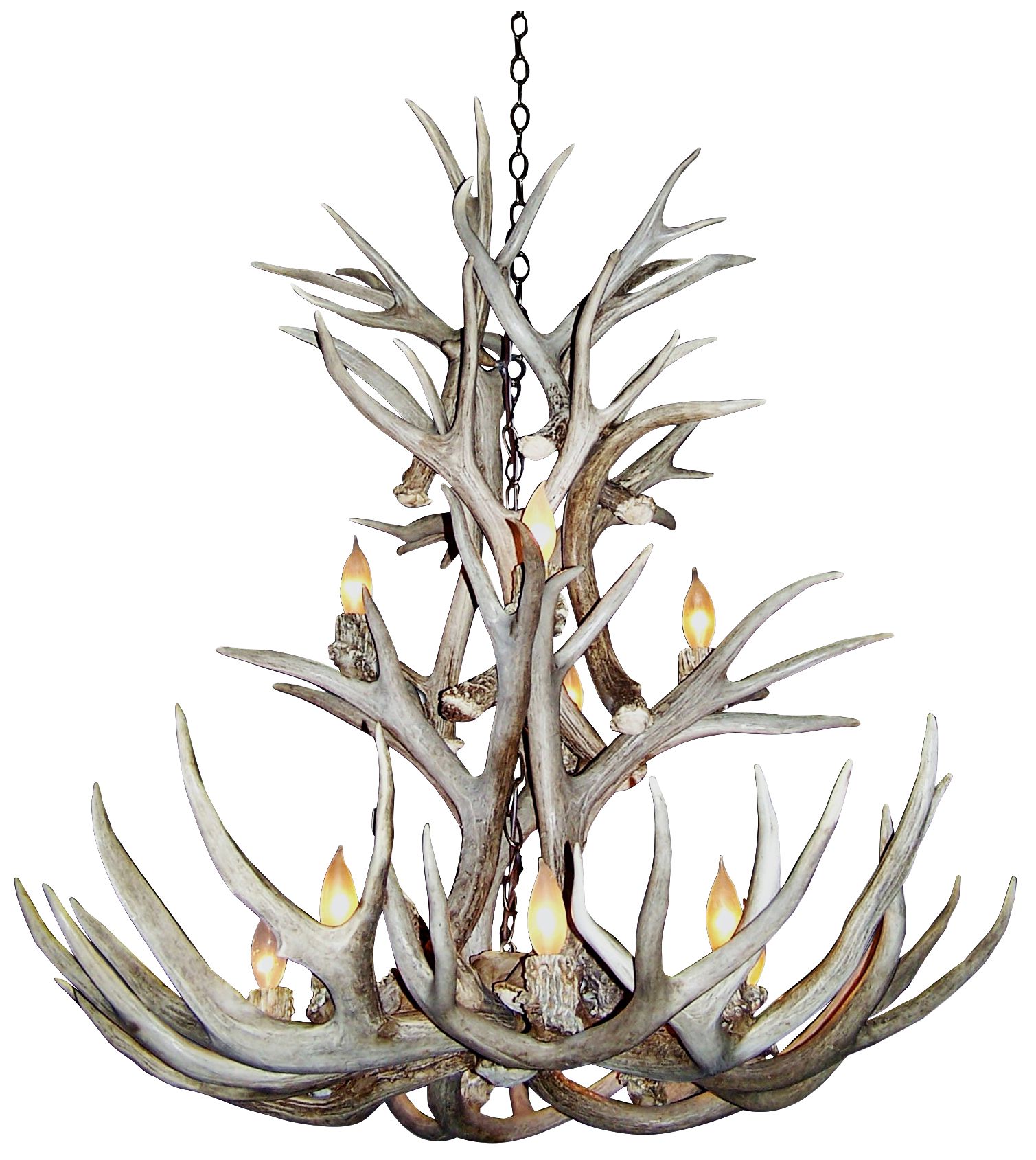 Mule Deer 27-28"W 9-Light Natural-Shed Antler Chandelier