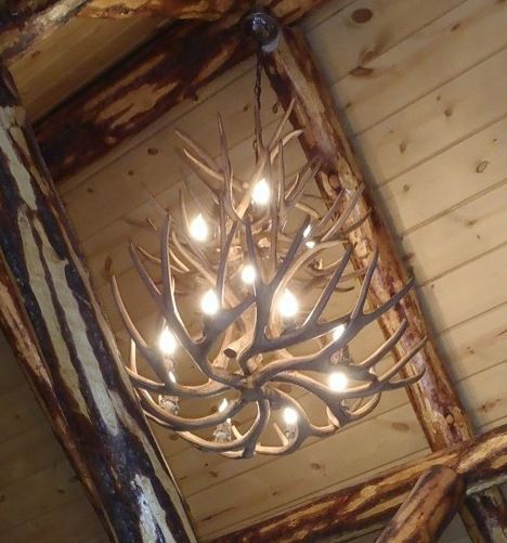 Image 3 Mule Deer 27-28"W 9-Light Natural-Shed Antler Chandelier more views