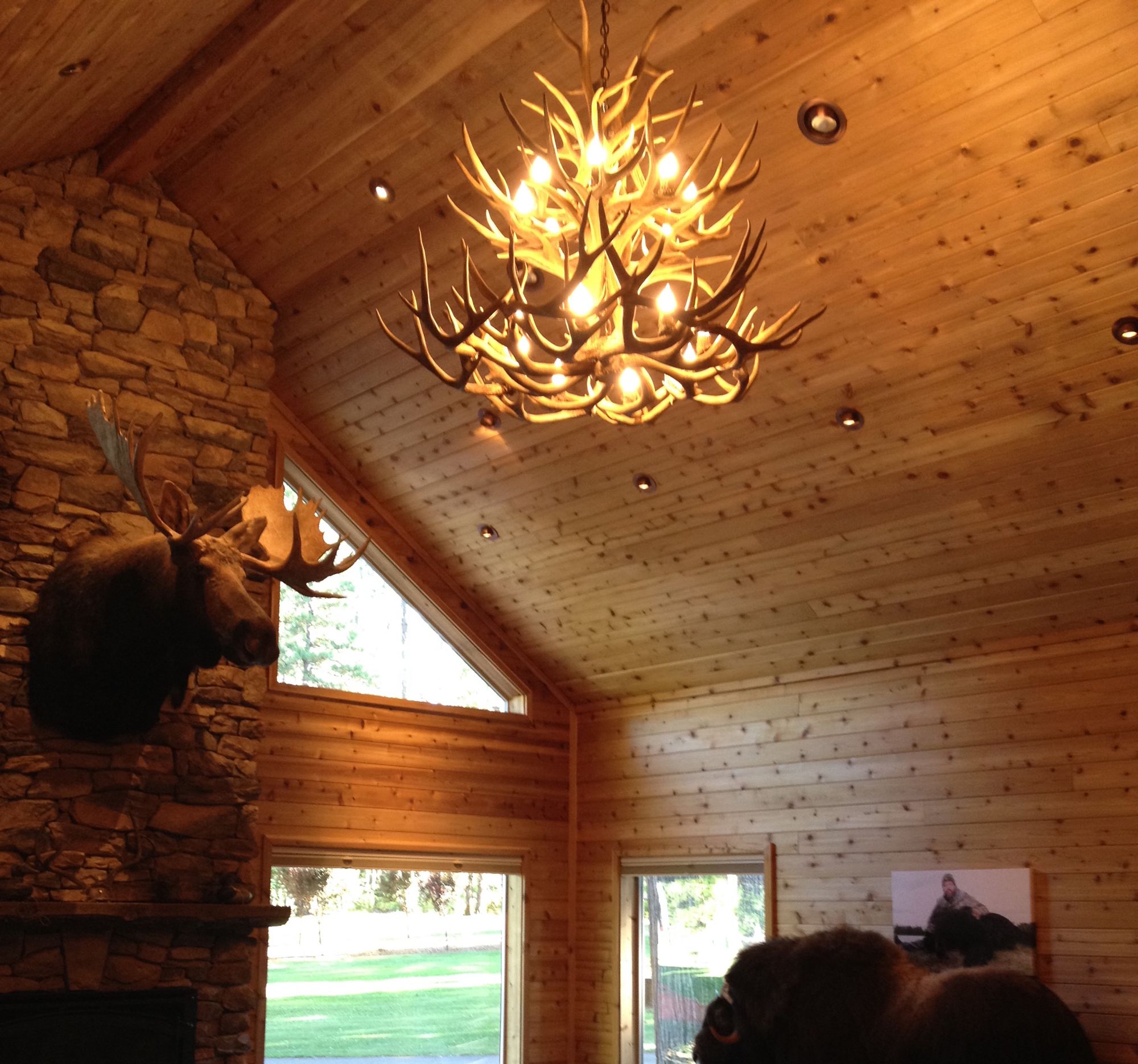 Image 4 Mule Deer 28-30"W 12-Light Natural-Shed Antler Chandelier more views