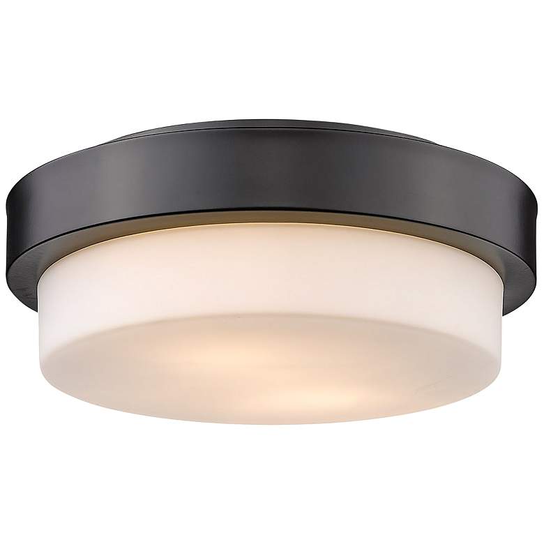 Image 1 Multi-Family 10 1/2" Wide Matte Black Ceiling Light