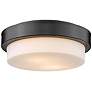 1_Multi-Family 10 1/2" Wide Matte Black Ceiling Light