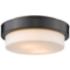 Multi-Family 10 1/2" Wide Matte Black Ceiling Light