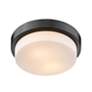 2_Multi-Family 10 1/2" Wide Matte Black Ceiling Light more views