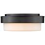 3_Multi-Family 10 1/2" Wide Matte Black Ceiling Light more views