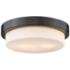 Multi-Family 13" Wide Matte Black Ceiling Light