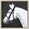 My Horse 39"W x 39"H Framed Art