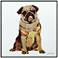 My Puggy 24" Square Reverse Printed Glass Wall Art