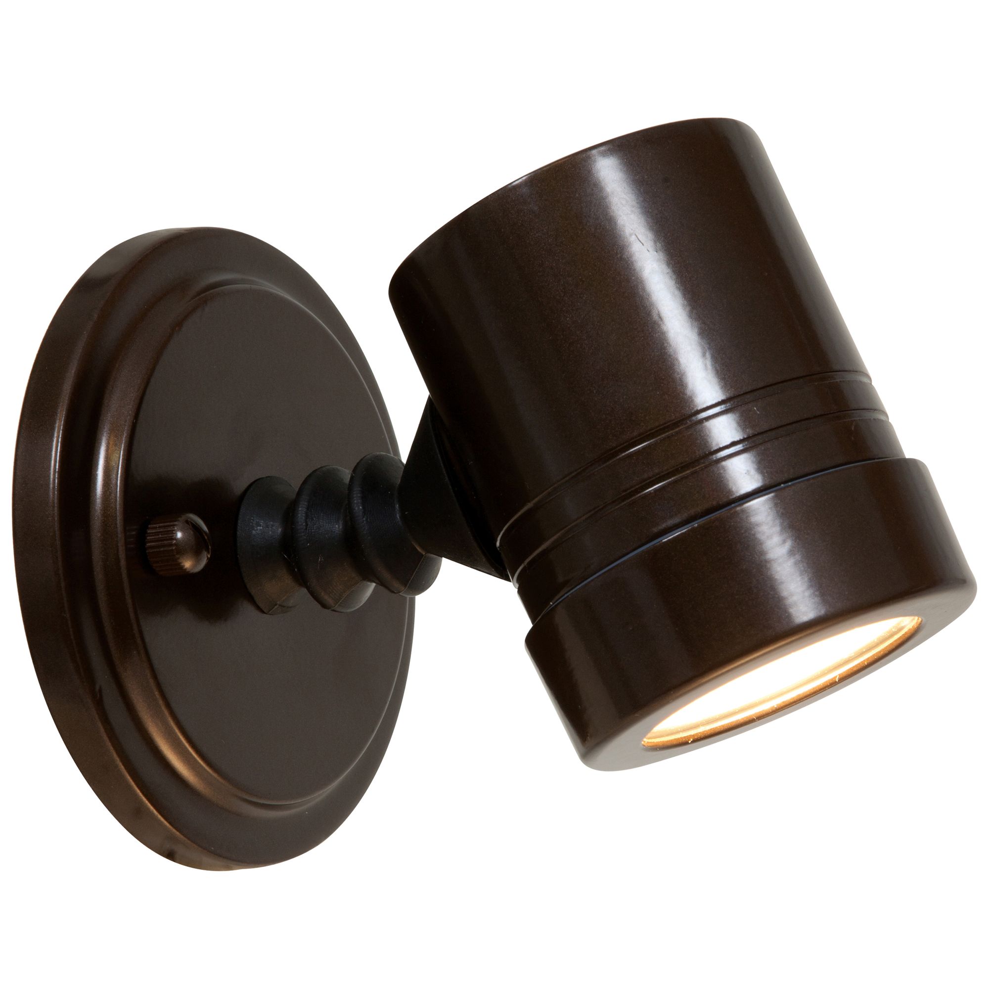 Myra Collection Bronze Outdoor Halogen Spotlight in scene