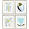 Naive Garden 19"W x 23"H Framed Art Set of 4