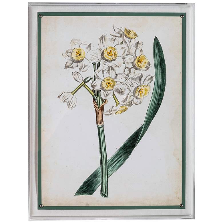 Image 1 Narcissue IV 26" High Rectangular Giclee Framed Wall Art