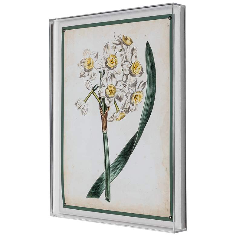 Image 3 Narcissue IV 26" High Rectangular Giclee Framed Wall Art more views