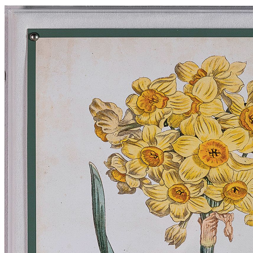 Image 3 Narcissus I 26" High Rectangular Giclee Framed Wall Art more views