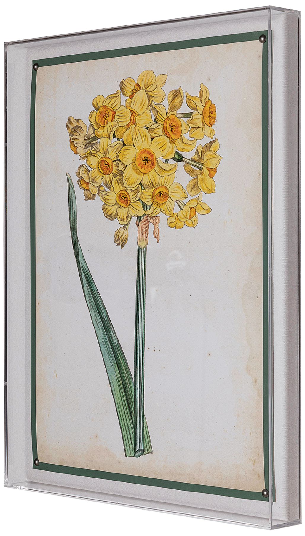 Image 4 Narcissus I 26" High Rectangular Giclee Framed Wall Art more views