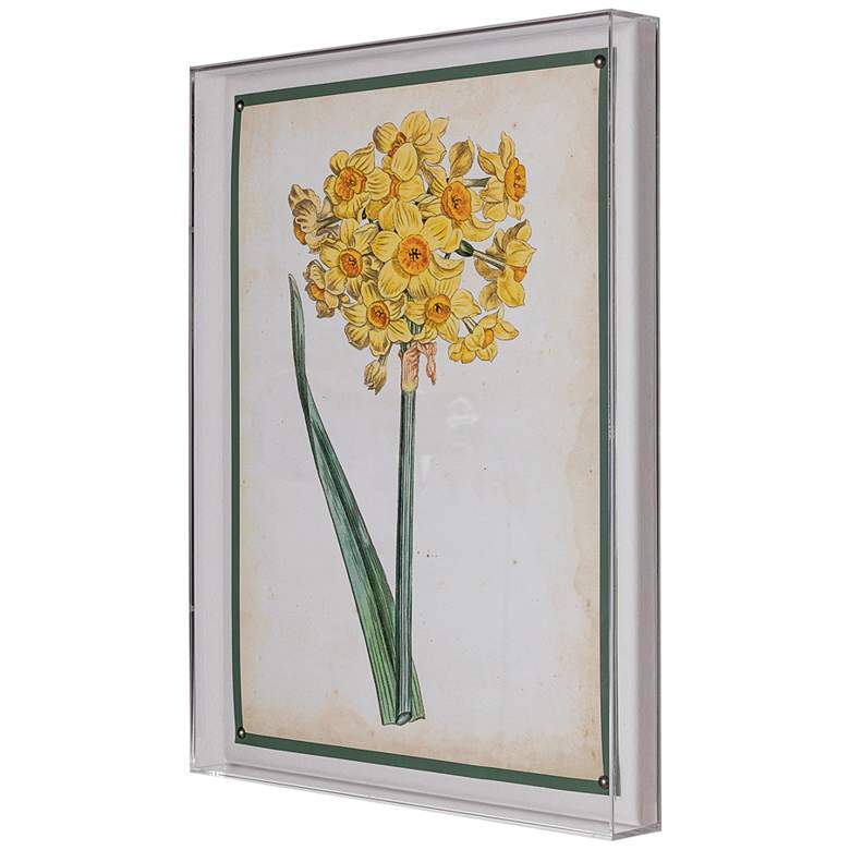 Image 4 Narcissus I 26 inch High Rectangular Giclee Framed Wall Art more views