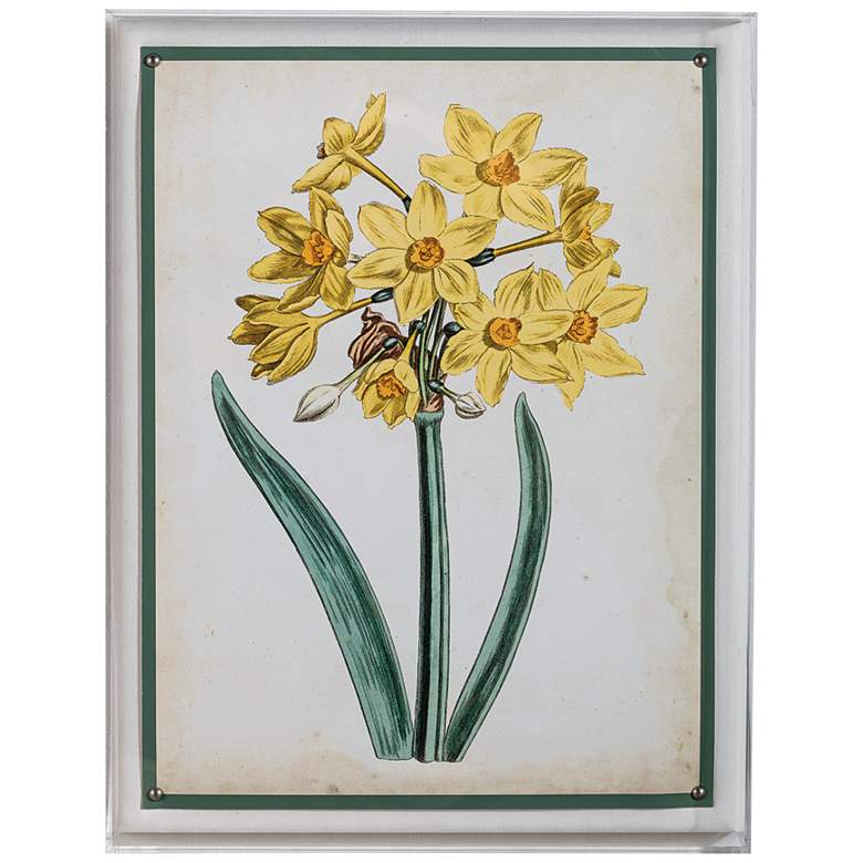 Image 2 Narcissus II 26" High Rectangular Giclee Framed Wall Art