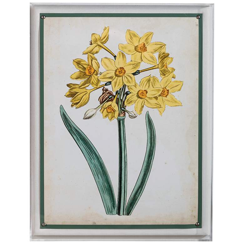 Image 2 Narcissus II 26 inch High Rectangular Giclee Framed Wall Art