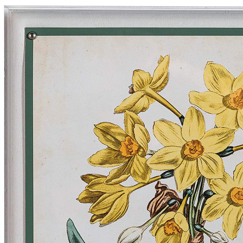 Image 3 Narcissus II 26" High Rectangular Giclee Framed Wall Art more views