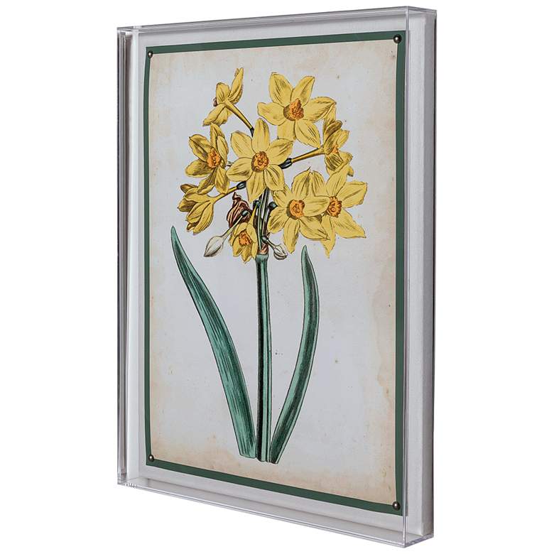 Image 4 Narcissus II 26 inch High Rectangular Giclee Framed Wall Art more views