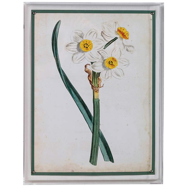 Image 1 Narcissus III 26" High Rectangular Giclee Framed Wall Art