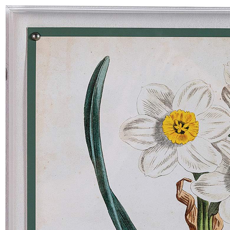 Image 2 Narcissus III 26" High Rectangular Giclee Framed Wall Art more views