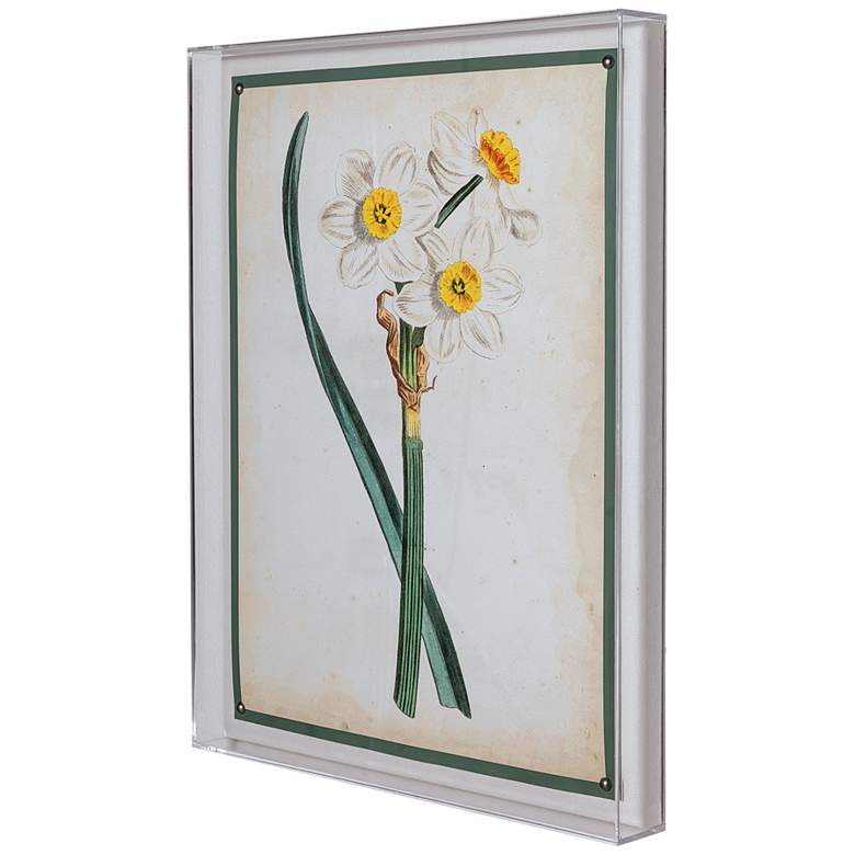 Image 3 Narcissus III 26" High Rectangular Giclee Framed Wall Art more views